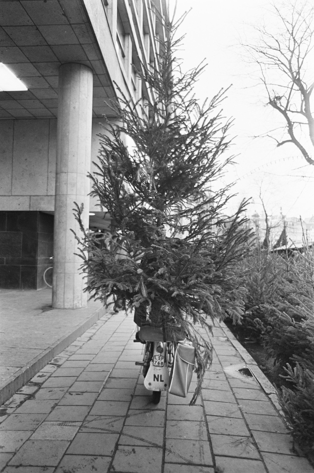 Ein Schwarz-Weiß-Foto eines Fahrrads mit einem Weihnachtsbaum auf dem Gepäckträger, das vor einem Gebäude mit Säulen und Deckenleuchten geparkt ist, umgeben von Pflanzen und Bäumen mit Gebäuden und Himmel im Hintergrund.