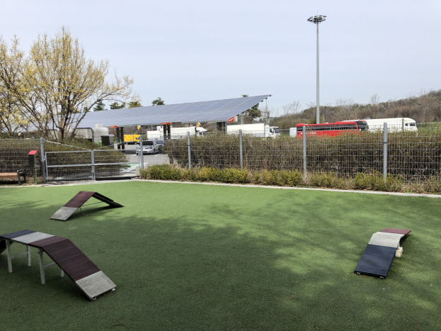 Ein eingezäunter Hundepark mit Kunstgras, Rampen, Pflanzen, Bäumen, Fahrzeugen, Schuppen, Pfählen und einer Laterne unter einem sichtbaren Himmel.