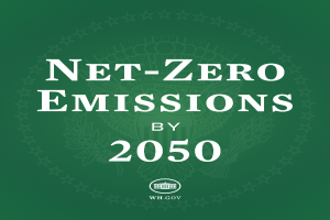 Ein grüner Hintergrund mit der fettgedruckten weißen Schrift "netto-null-Emissionen bis 2050".