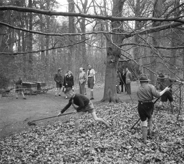 Schwarz-weiß-Foto von Menschen, die mit Stöcken in einem bewaldeten Gebiet mit heruntergefallenen Blättern spielen.