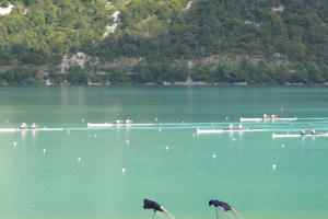 Eine Gruppe von Menschen, die auf einem Gewässer umgeben von Bäumen und einem Hügel rudern, mit Bekleidung-umhangenen Tribünen unten, was auf einen Ruderwettbewerb hinweist.