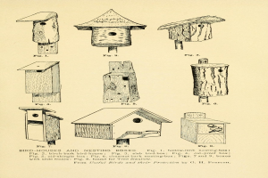 Eine detaillierte Zeichnung verschiedener einzigartig geformter und gestalteter Vogelhäuser und Nistkästen auf einem Papier, begleitet von beschreibendem Text über ihre Größe, Form und Merkmale.