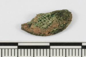 Grün und braune Licorice auf einem Lineal mit einer Skala unten.