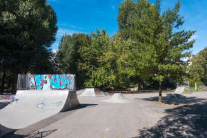 Ein Skatepark mit Rampen, die mit Graffiti bedeckt sind, umgeben von Bäumen und Gebäuden unter einem bewölkten Himmel.