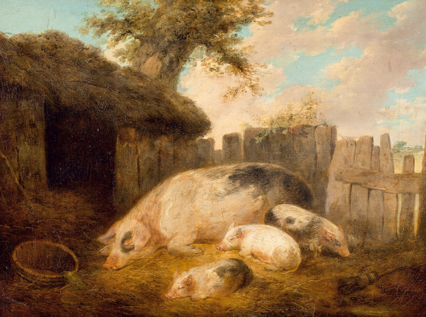 Weniger Schweinefarmen - aber mehr Schweine
