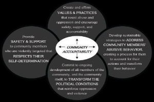Diagramm, das "Gemeinschaftsverantwortung" in der Mitte von drei miteinander verbundenen Kreisen zeigt, mit Pfeilen, in leuchtenden Farben.