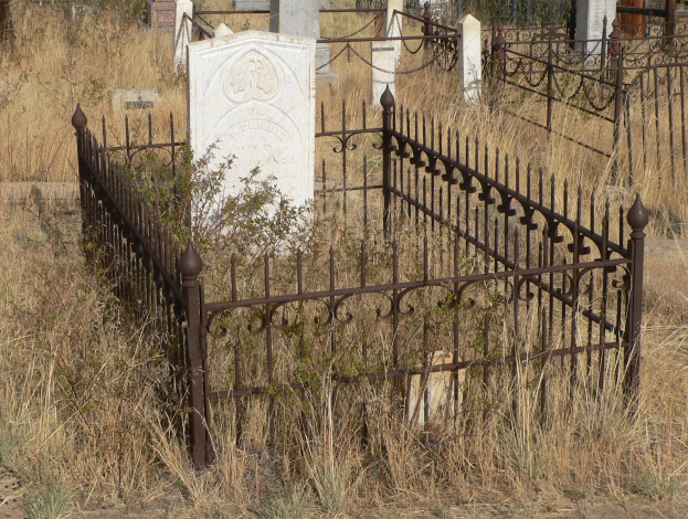 Ein Friedhof mit einem Metallzaun in der Mitte, umgeben von Grabsteinen, Pflanzen und Gras.