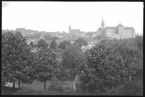 Ein Schwarz-Weiß-Foto einer Stadt mit hohen, üppigen Bäumen im Vordergrund, die über die Gebäude im Hintergrund Schatten spenden.