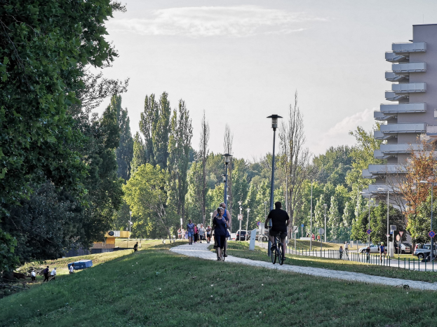 Gruppe von Menschen, die Fahrräder auf einem Parkweg mit Bäumen, Straßenlaternen, Schildern, Fahrzeugen und Gebäuden im Hintergrund fahren.