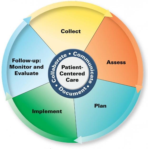 Kreisförmiges Diagramm mit der Überschrift 'patientenorientierte Versorgung' und vier farbigen Abschnitten, jeweils mit einem spezifischen Aspekt der Versorgung beschriftet.