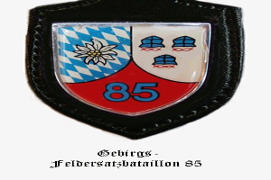 Ein rundes Abzeichen mit der Nummer 85 und deutschem Text unten, das das Logo des bayerischen Füballteams darstellt.