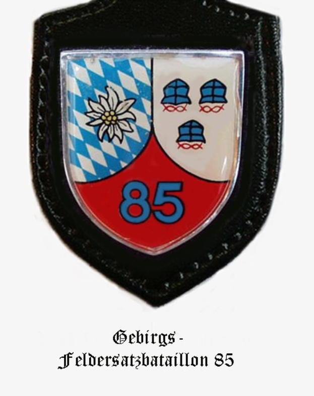 Ein rundes Abzeichen mit der Nummer 85 und deutschem Text unten, das das Logo des bayerischen Füballteams darstellt.