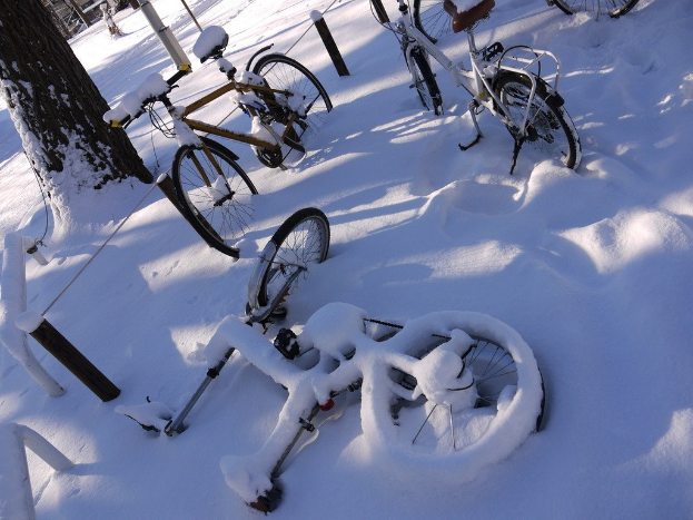 Eine Reihe von Fahrrädern, teilweise von Schnee bedeckt, steht neben einem schneebedeckten Baumstamm und der Straße.