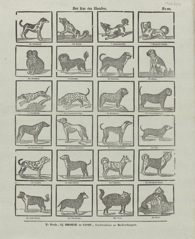 Ein offenes altes Buch, das verschiedene Hundezuchten zeigt, mit begleitenden Textbeschreibungen.