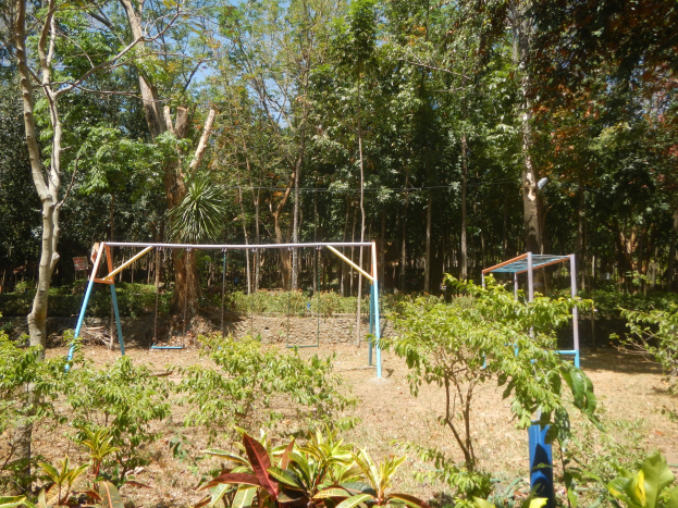 Eine Schaukelanlage mit Metallstangen und Pfosten, die in einer grünen Waldlichtung mit Bäumen und Pflanzen steht, unter einem klaren blauen Himmel.