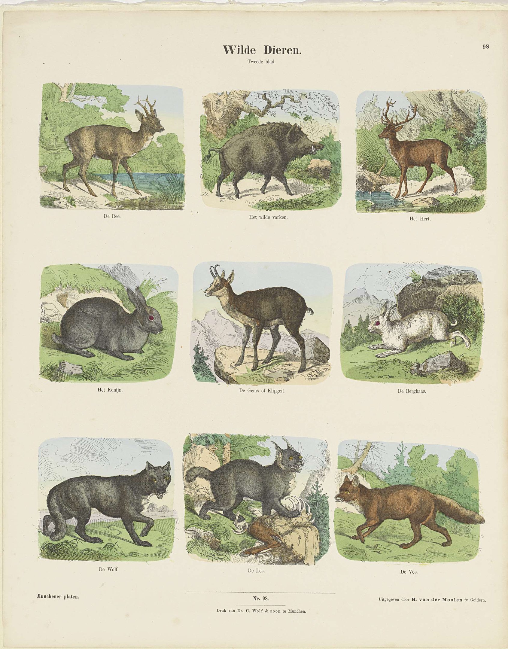 Ein Buchumschlag mit Illustrationen von Wildtieren wie einem Reh und einem Kaninchen, mit sichtbarem Text auf dem Papier.